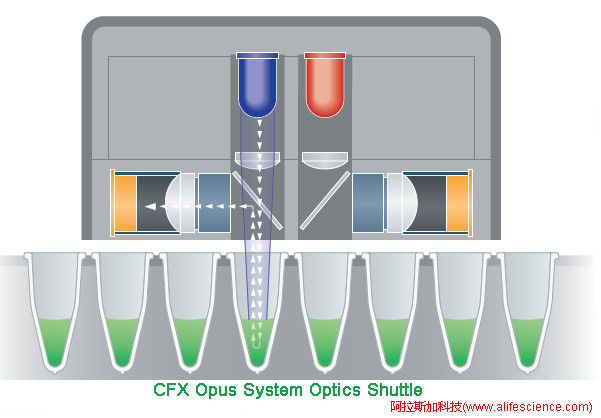 CFX Opus 96 384 實(shí)時(shí)熒光定量PCR儀熒光信號檢測單元工作原理.jpg