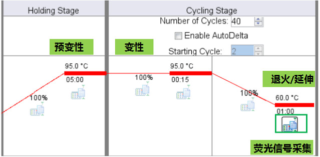 7500 Fast StepOnePlus ViiA7實時實時熒光定量PCR儀雙溫循環(huán)程序熒光信號采集時間設置.jpg